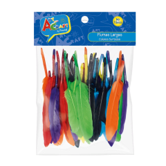 Set 50Un Plumas Col Surt 10-15Cms Art&Craft
