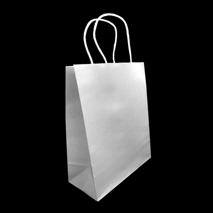12 Bolsa Regalo 21X27X11 Kraft2