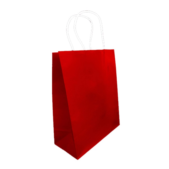 12 Bolsa Regalo 22X27X11 Kraft4