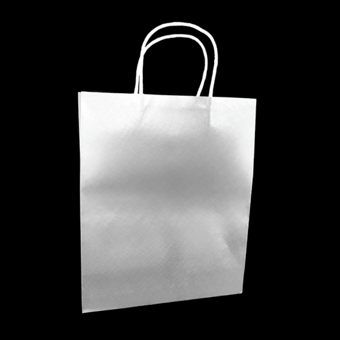 12 Bolsa De Regalo 25X33 Kraft1