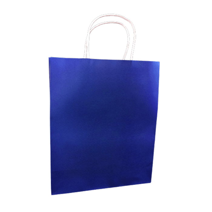 12 Bolsa Regalo 25X33 Kraft4