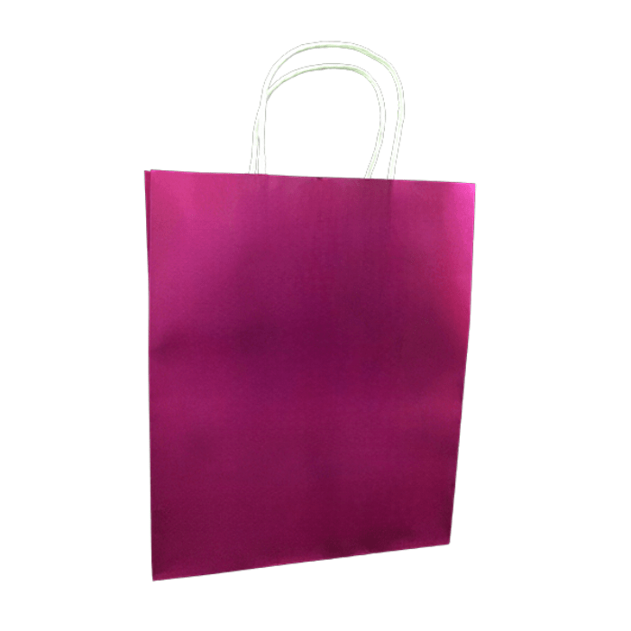 12 Bolsa Regalo 25X33 Kraft3