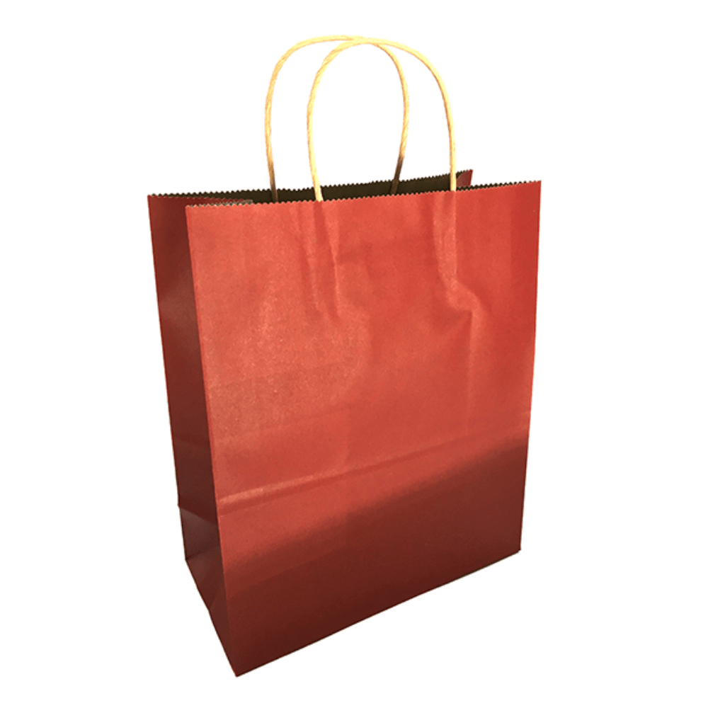 12 Bolsa Regalo 22X27X11 Kraft11