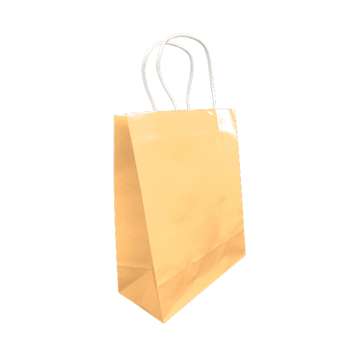 12 Bolsa Regalo Mediana 15X21X8 Kraft9