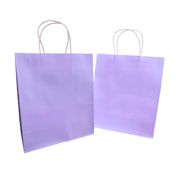 12 Bolsa Regalo 22X27X11 Kraft10