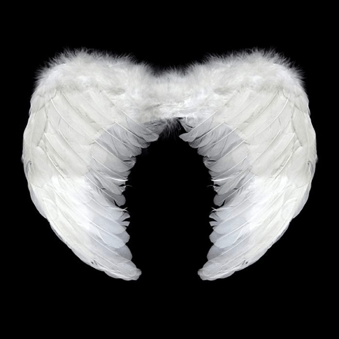 Alas De Angel Plumas 60x45cm3