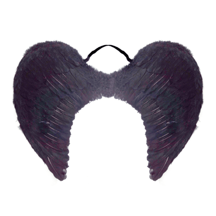 Alas De Angel Plumas 60x45cm2