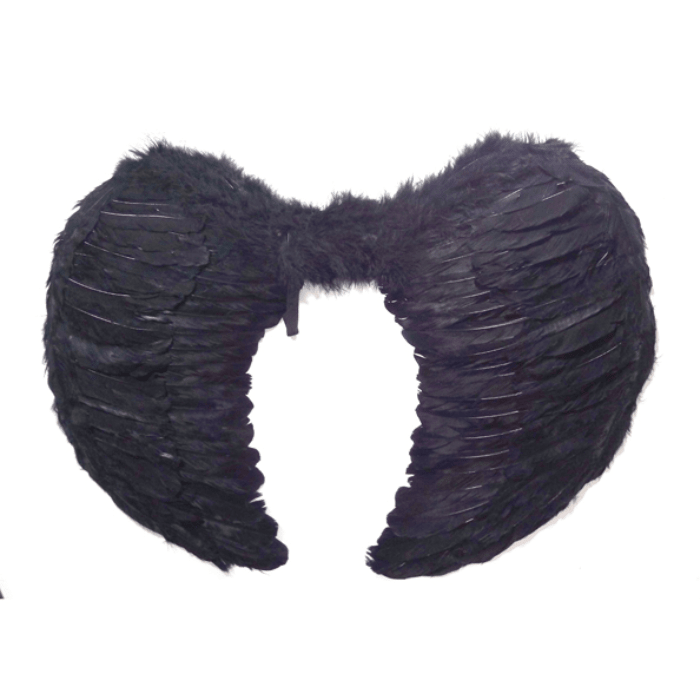 Alas De Angel Plumas 80x60cm2