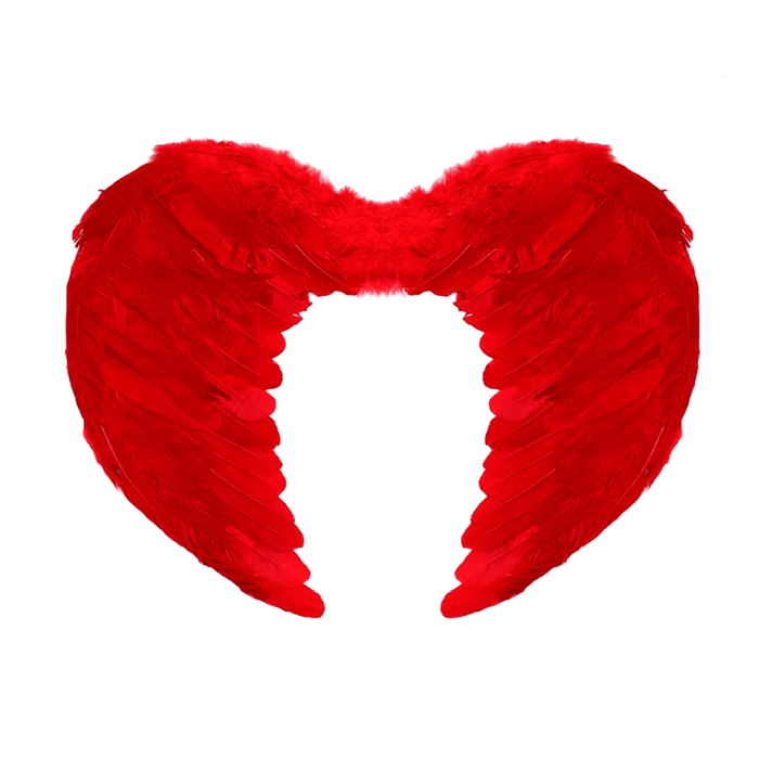 Alas De Angel Plumas 60x45cm1