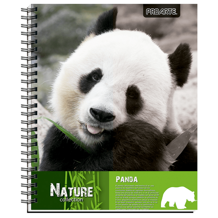 Cuaderno Universitario 7Mm 100Hj Tapa Dura Nature2