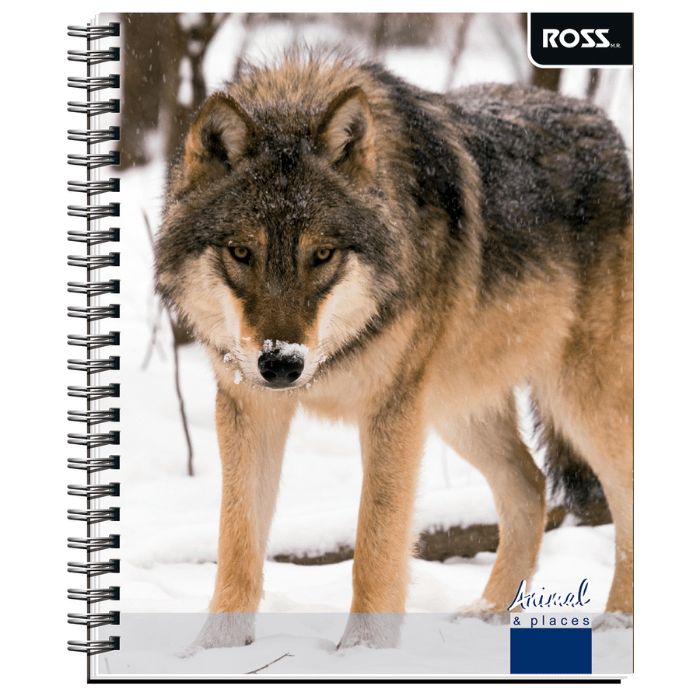 Cuaderno Universitario 7Mm 100Hj Tapa Simple Animal Place1