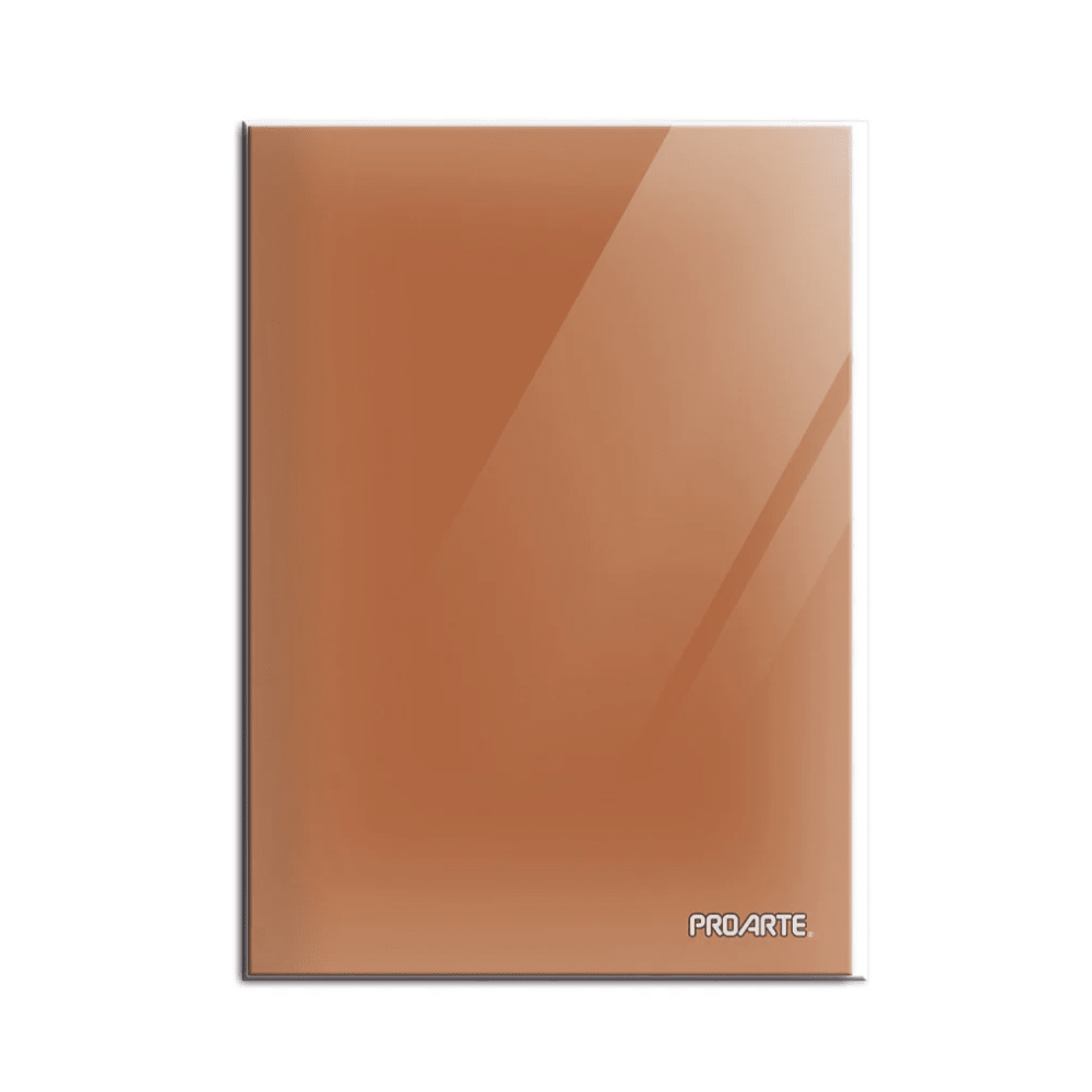 Carpeta Plastica Con Acoclip Proarte1