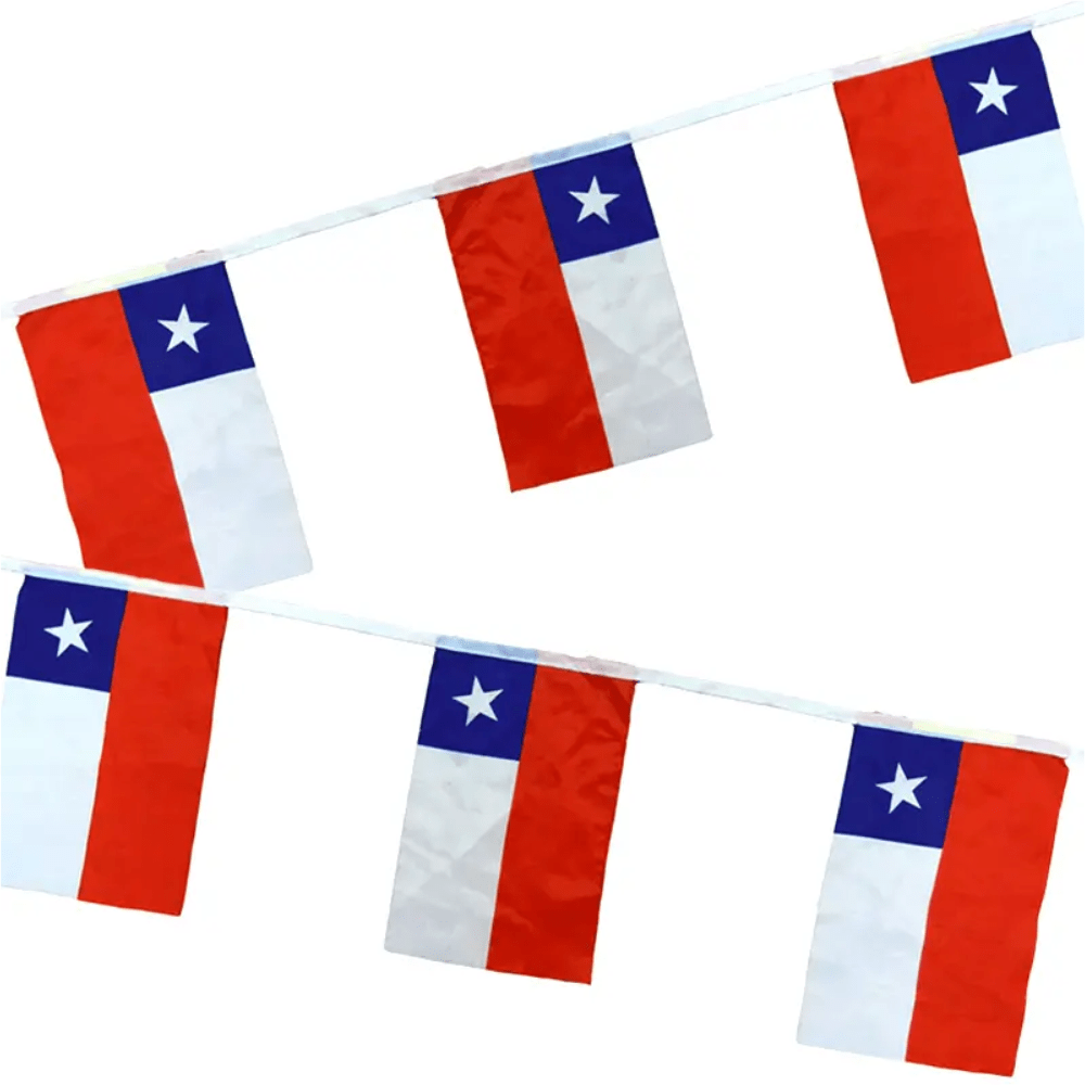 Guirnalda Bandera Chile Tela 3Mts1