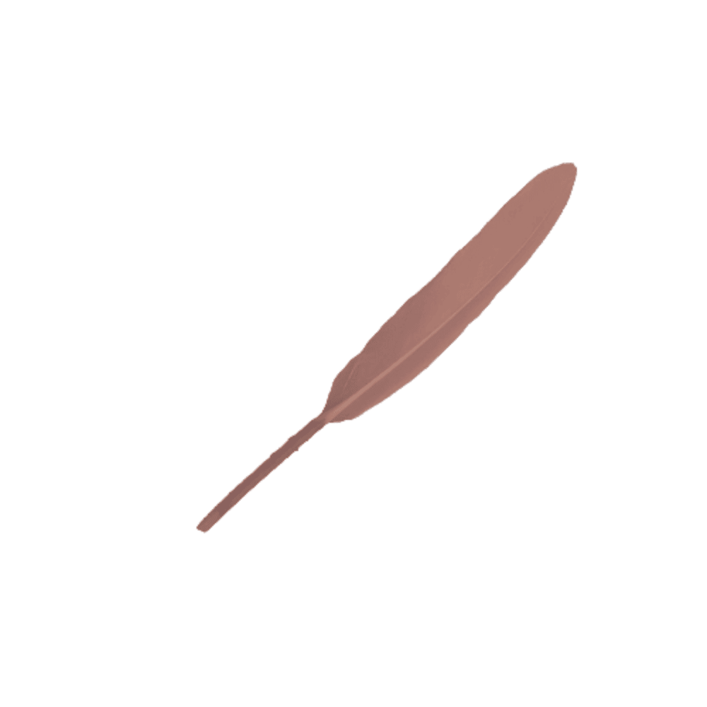 12Un Plumas 13Cm8