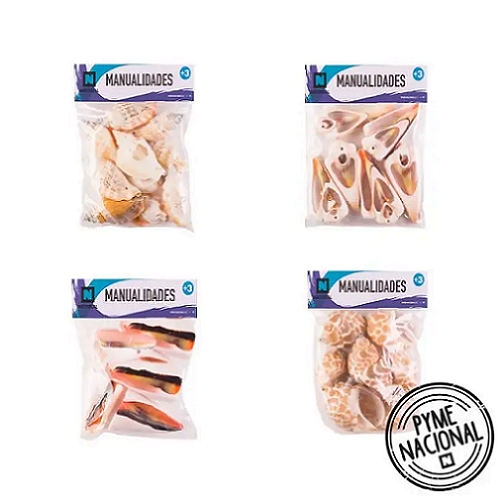 Conchitas De Mar Surtidas Medianas Y Grandes1