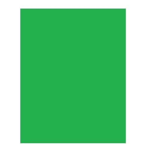 Papel Lustre Pliego 50x702