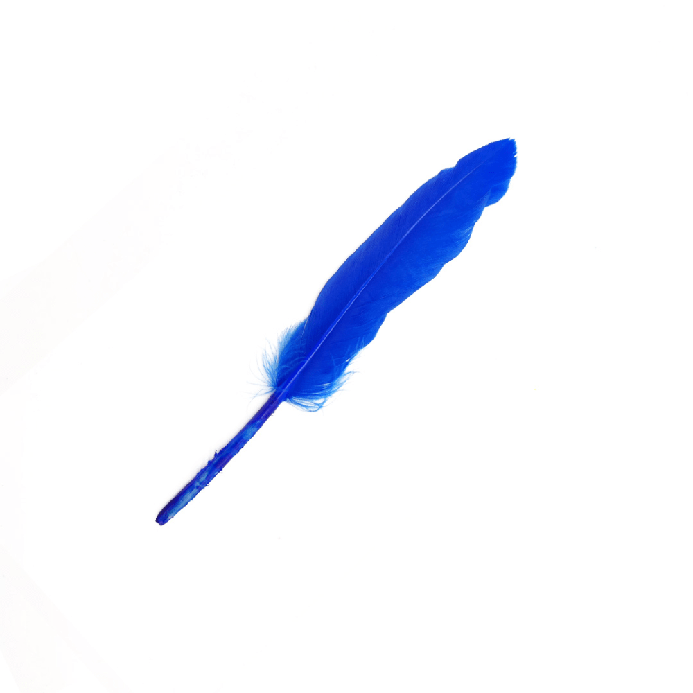 12Un Plumas 13Cm6