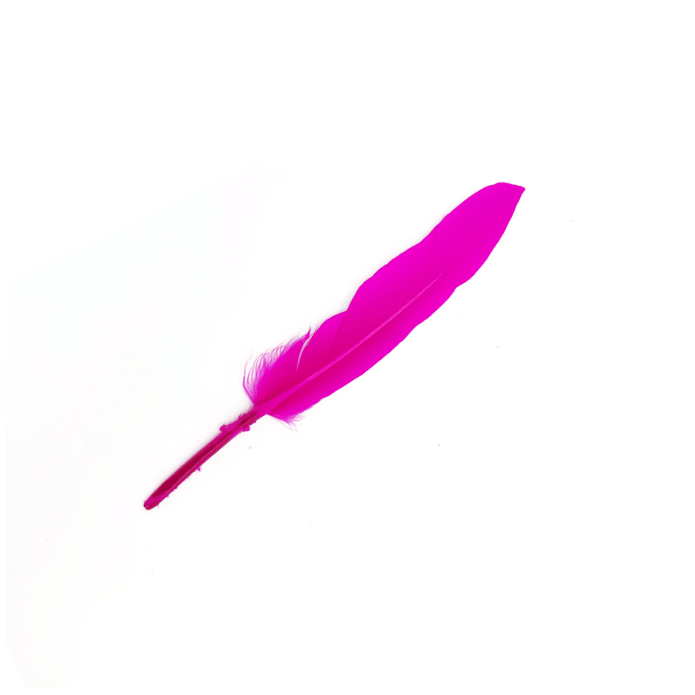 12Un Plumas 13Cm5