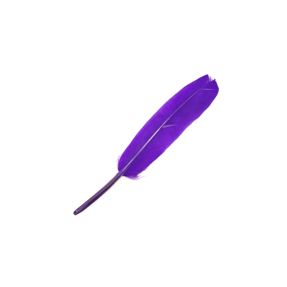 12Un Plumas 13Cm4