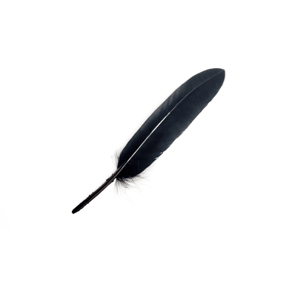 12Un Plumas 13Cm3