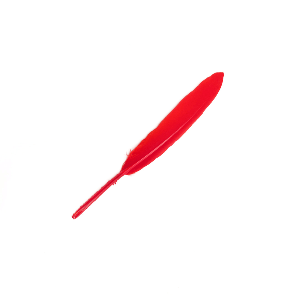 12Un Plumas 13Cm2