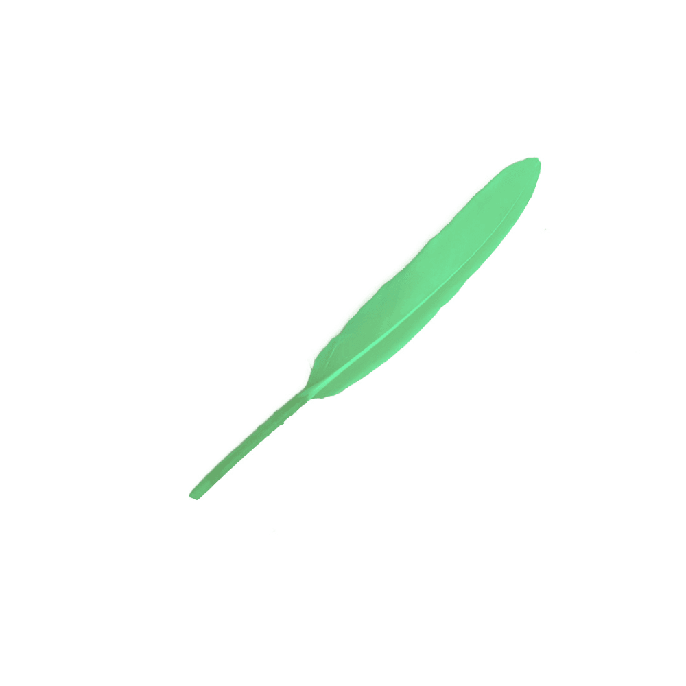 12Un Plumas 13Cm7