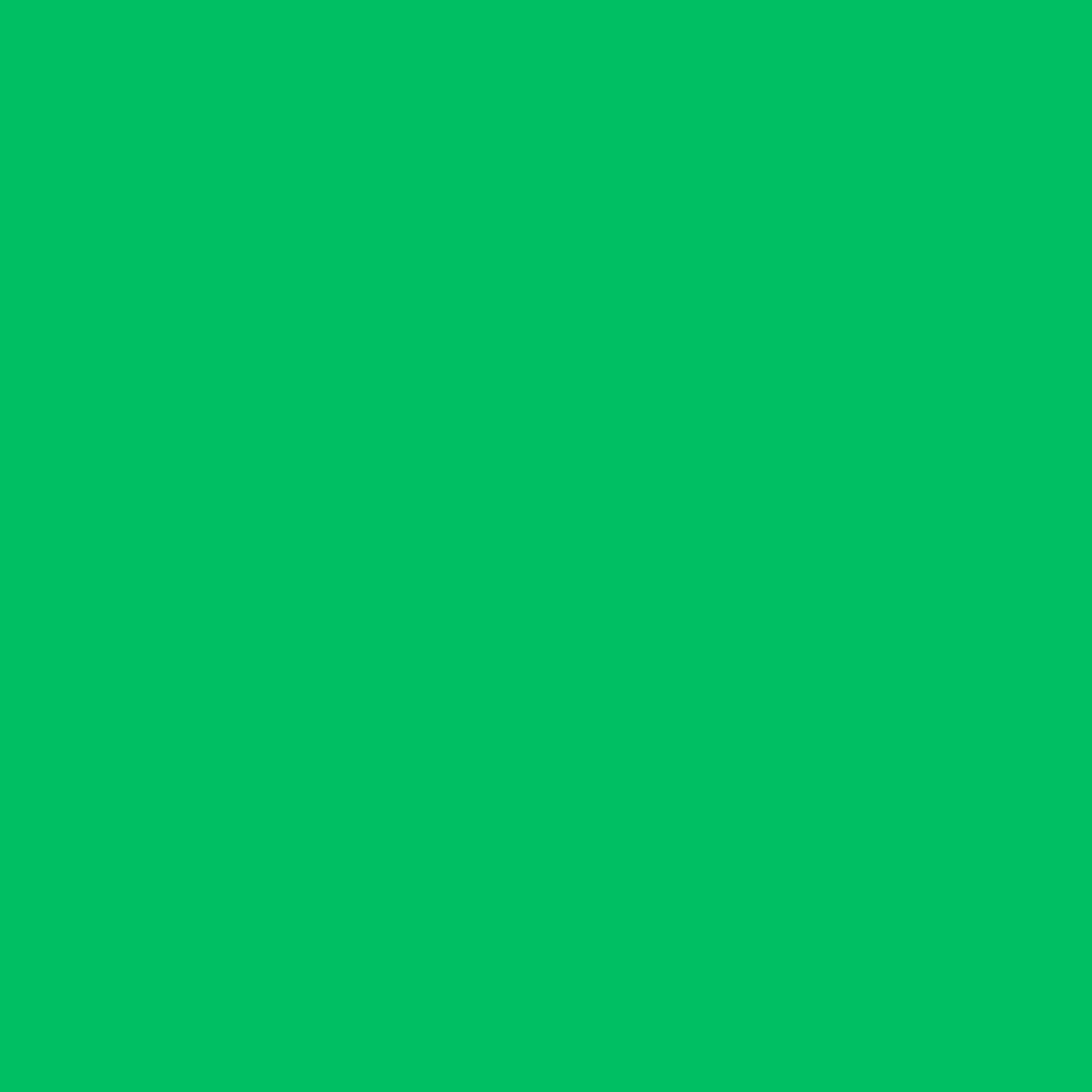 Papel Lustre Pliego 50x708