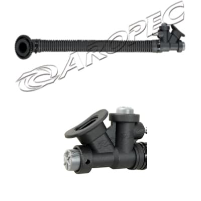 Traquea BCD  Aropec1