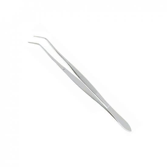 PINZA BIANGULADA1