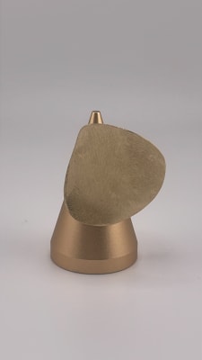 IBRA OVAL1