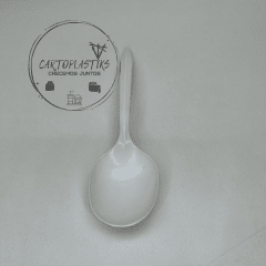 CUCHARA PLASTICO 100UN
