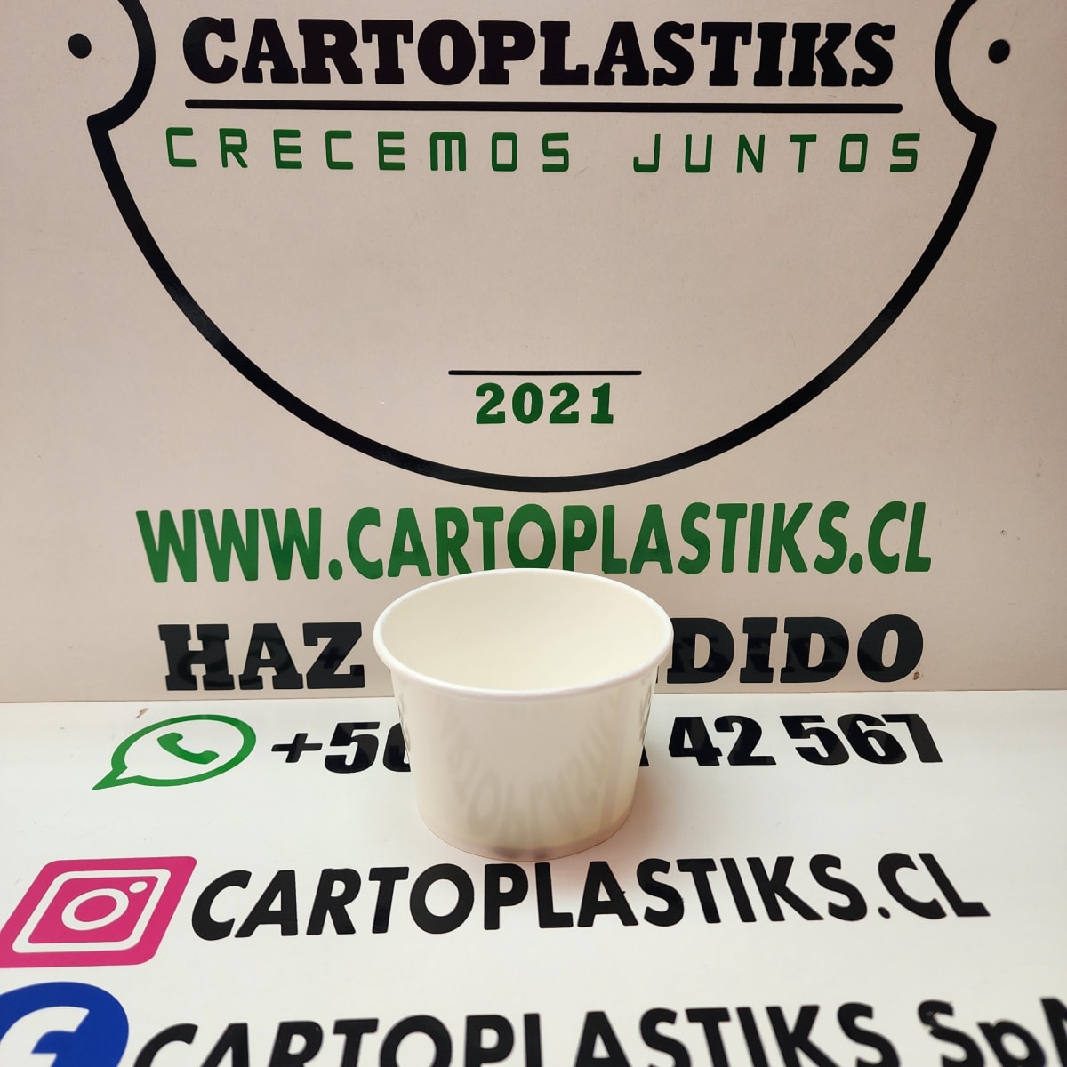 POTE DE POLIPAPEL HELADO 8OZ1