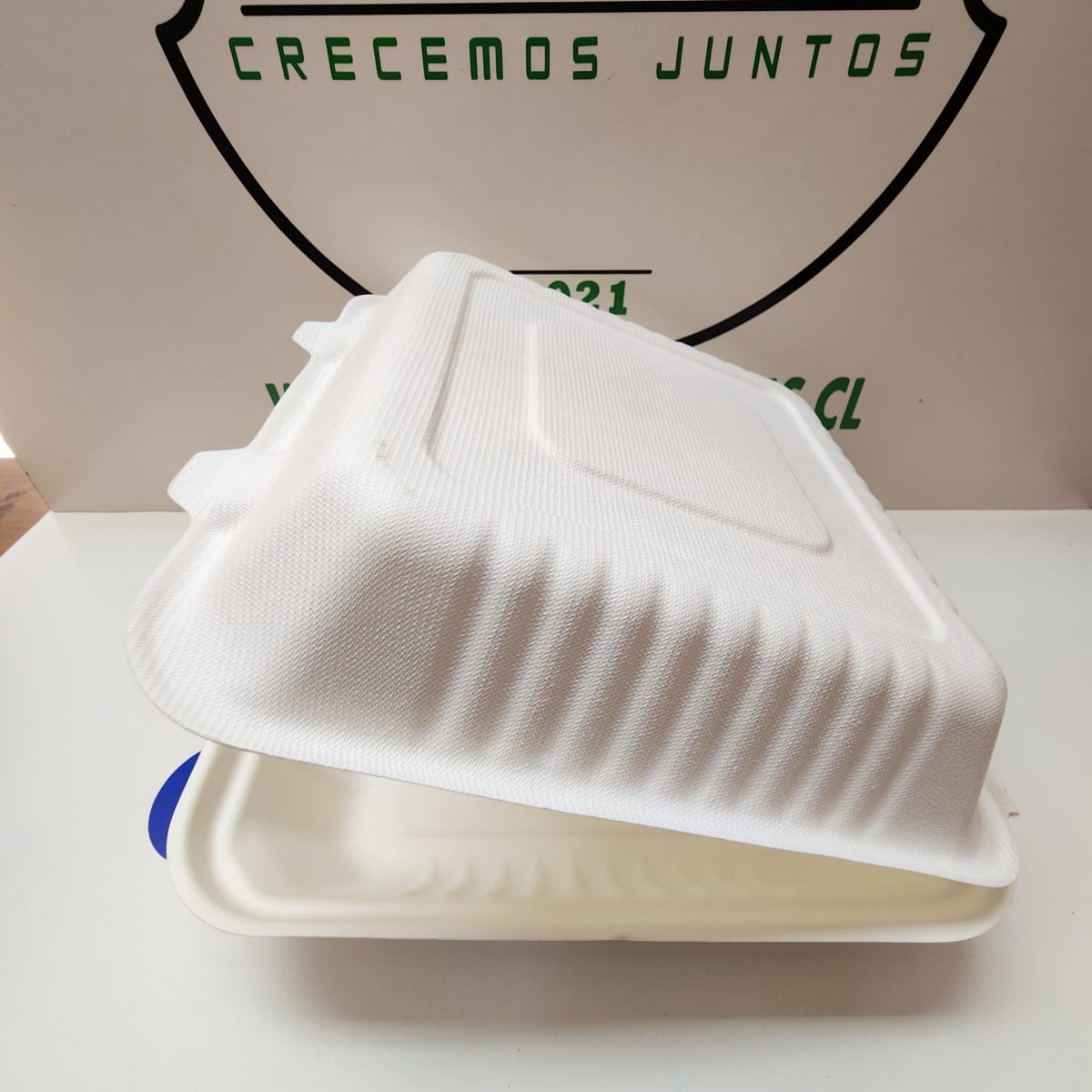 PORTACOMIDAS BAGASSE 1150ML (CT-1)2