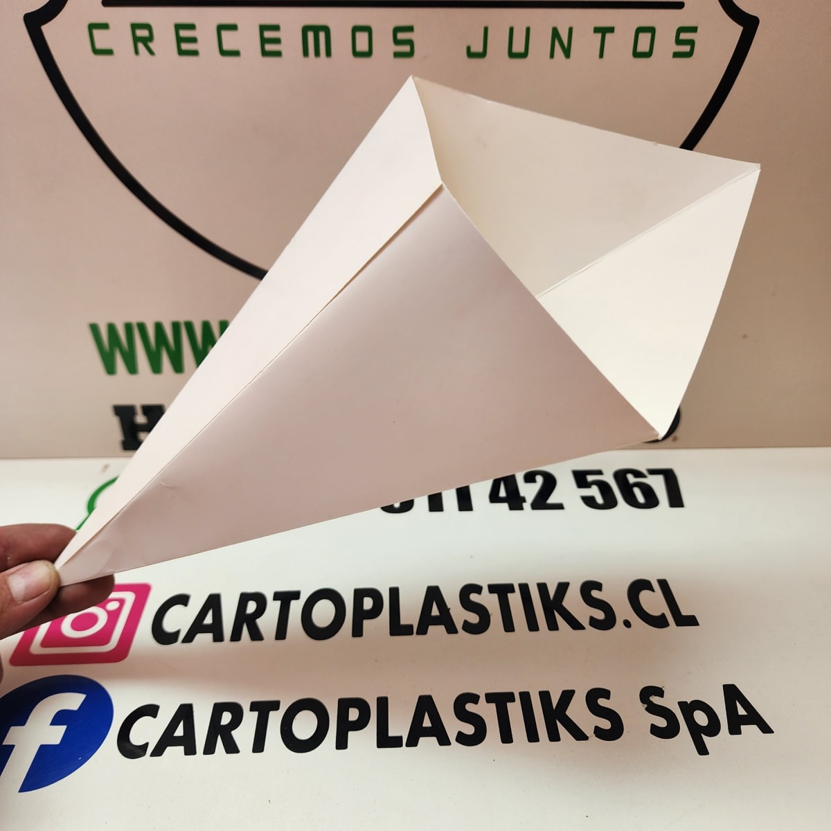 CONO DE PAPA MEDIANA 50UN1