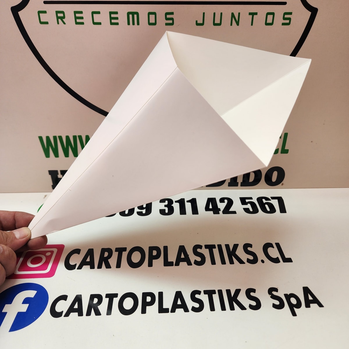 CONO DE PAPA GRANDE 50UN1