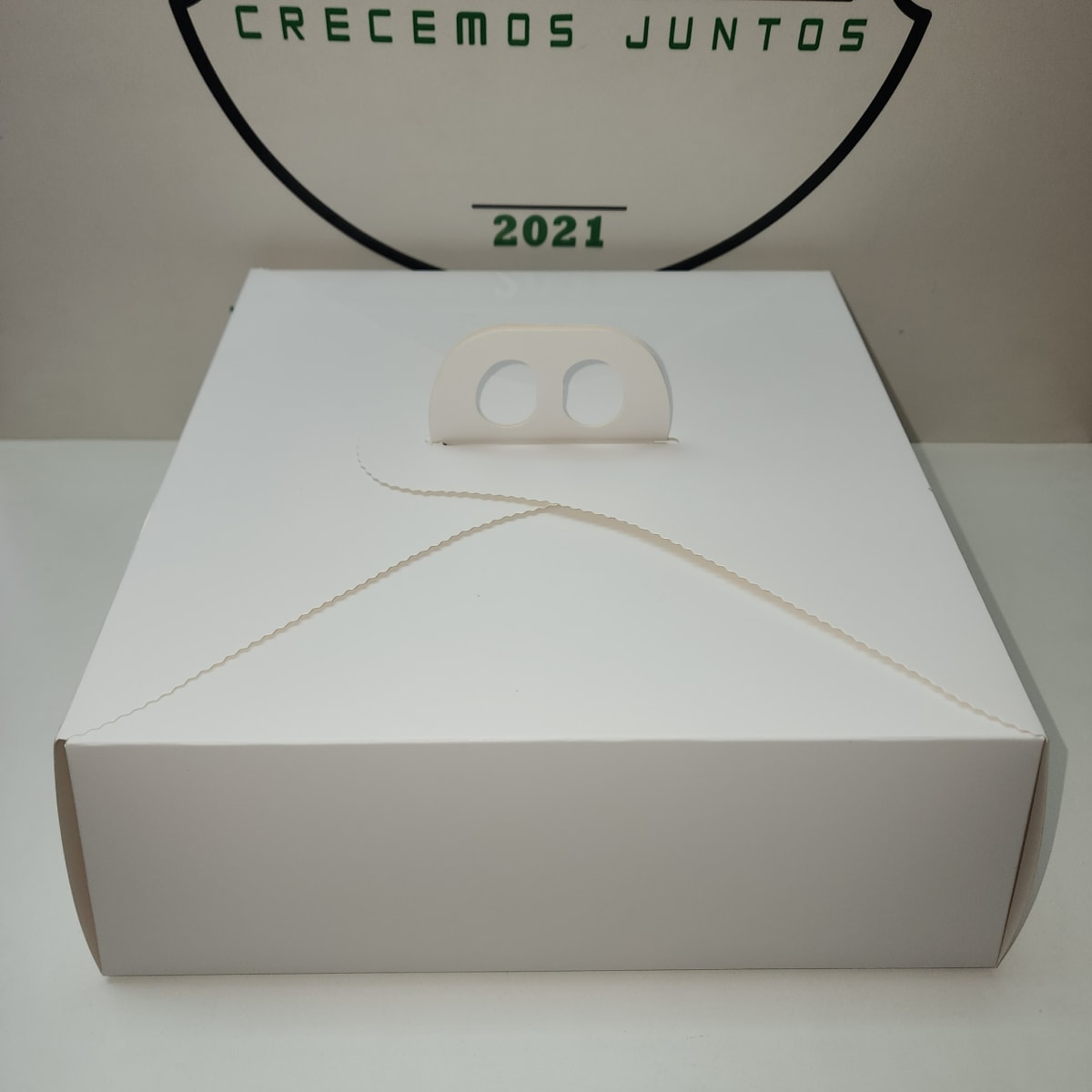 TORTA CHICA BLANCA 29X291