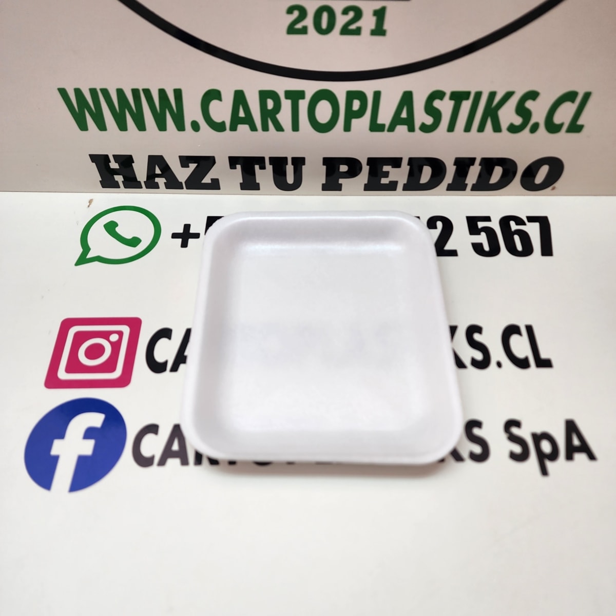 BANDEJA PLUMAVIT 1S1