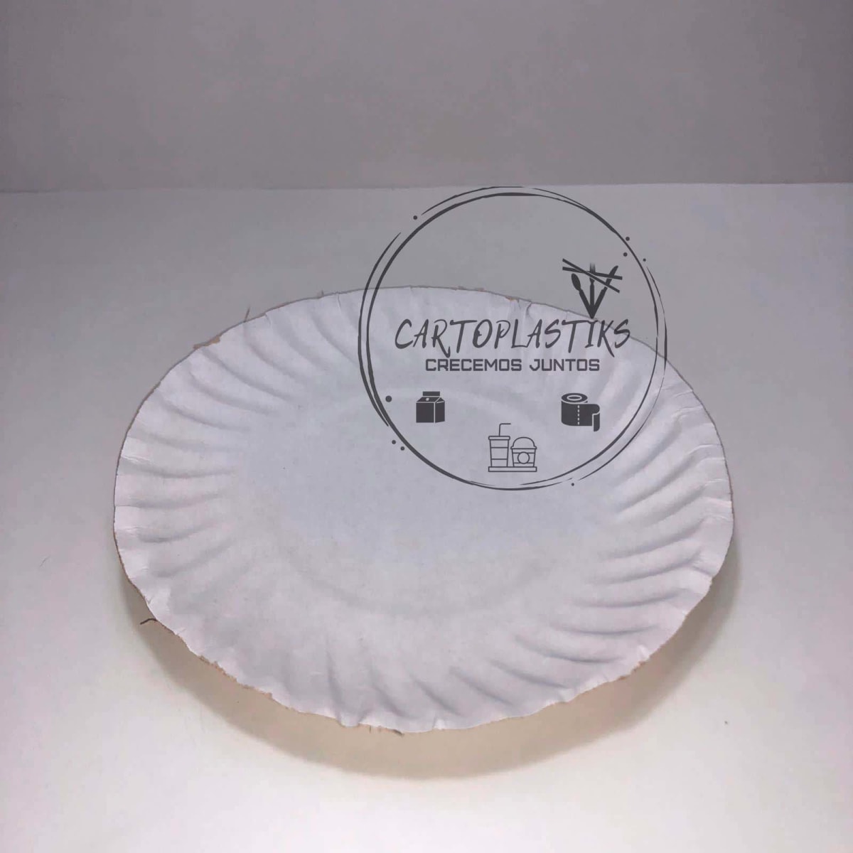 PLATO DE CARTON N°11