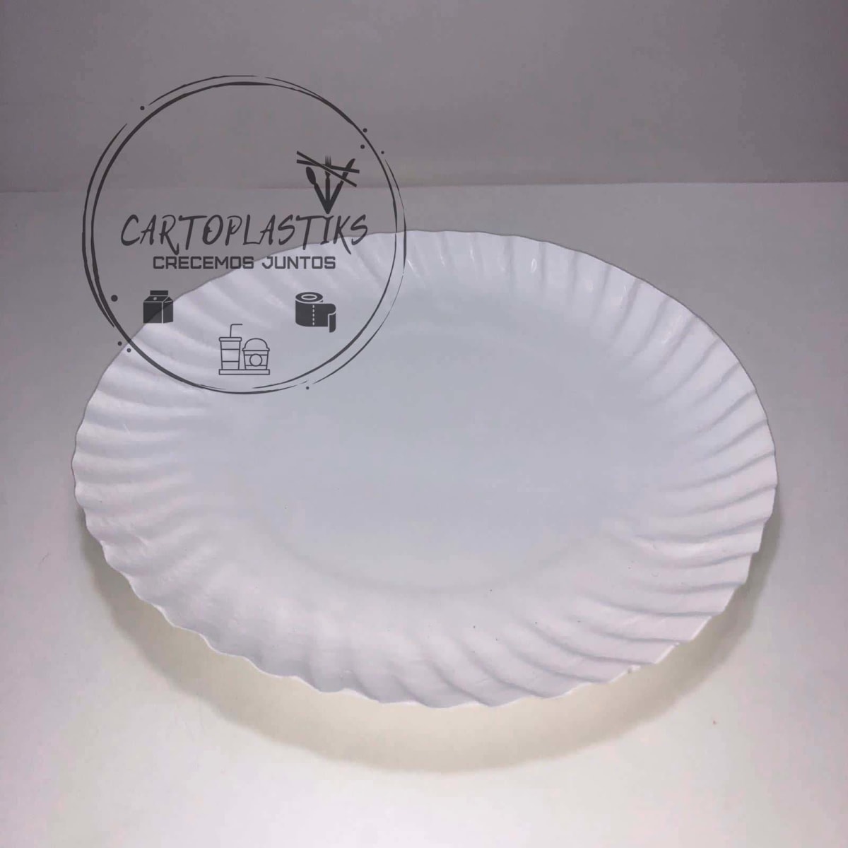 PLATO DE CARTON N°21