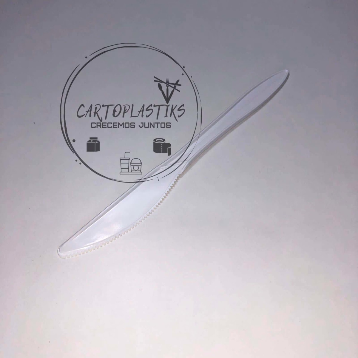 CUCHILLO PLASTICO 100UN1