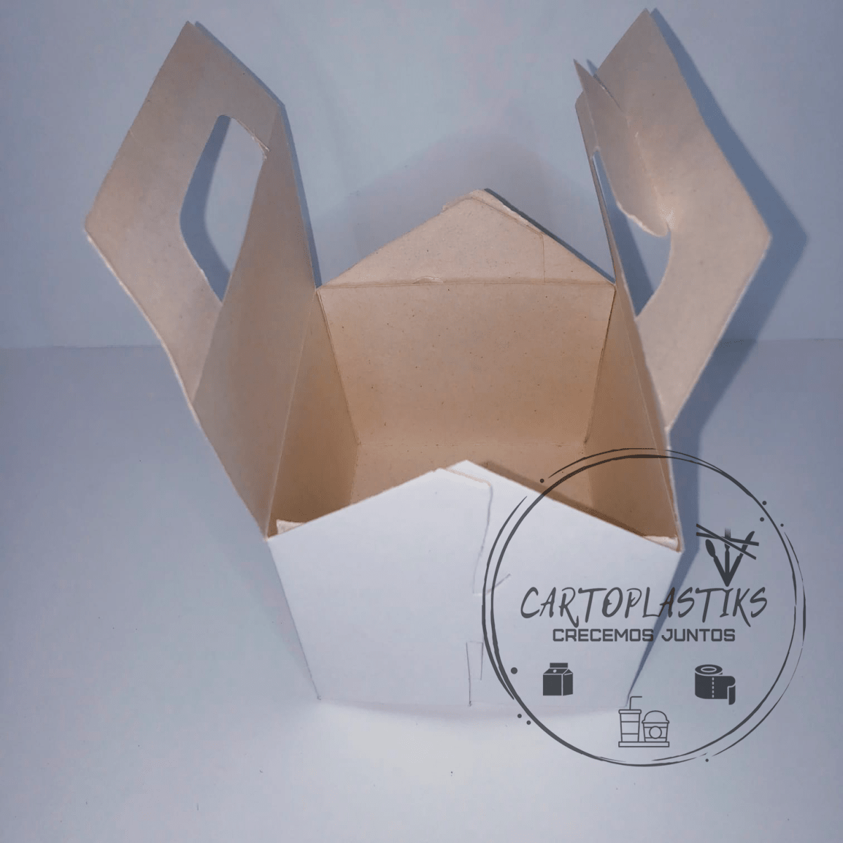 CAJA DE PAPAS N°22
