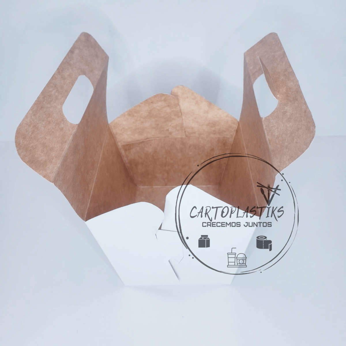CAJA DE PAPAS N°12