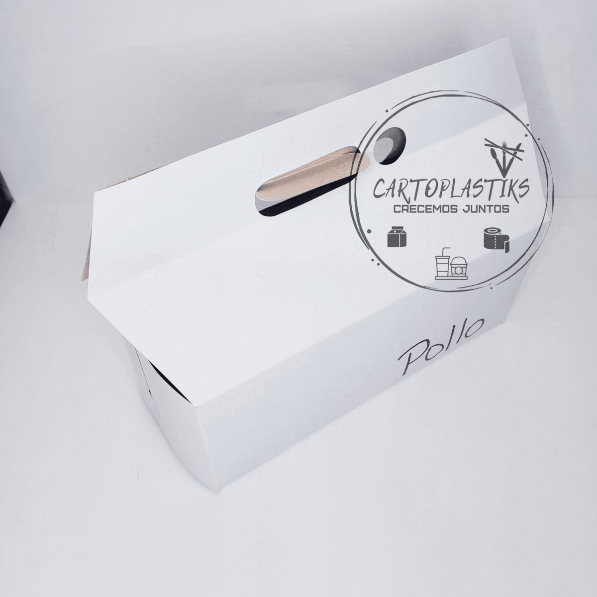 CAJA DE POLLO ARMABLE1