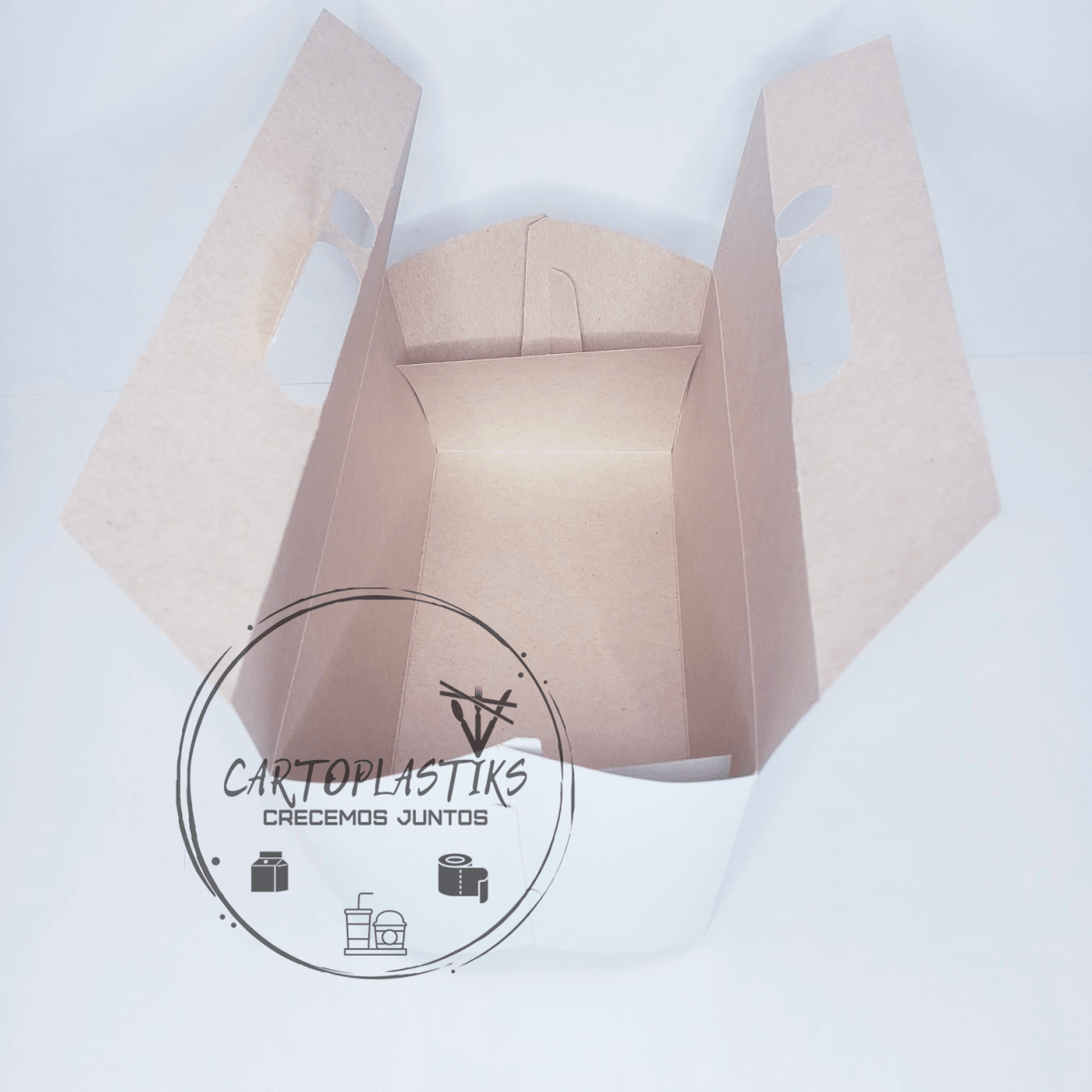 CAJA DE POLLO ARMABLE2