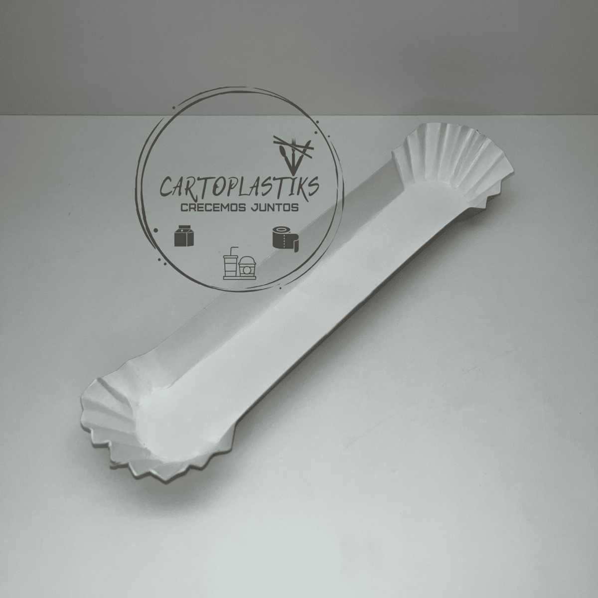 CANOA GRANDE PARA COMPLETO1