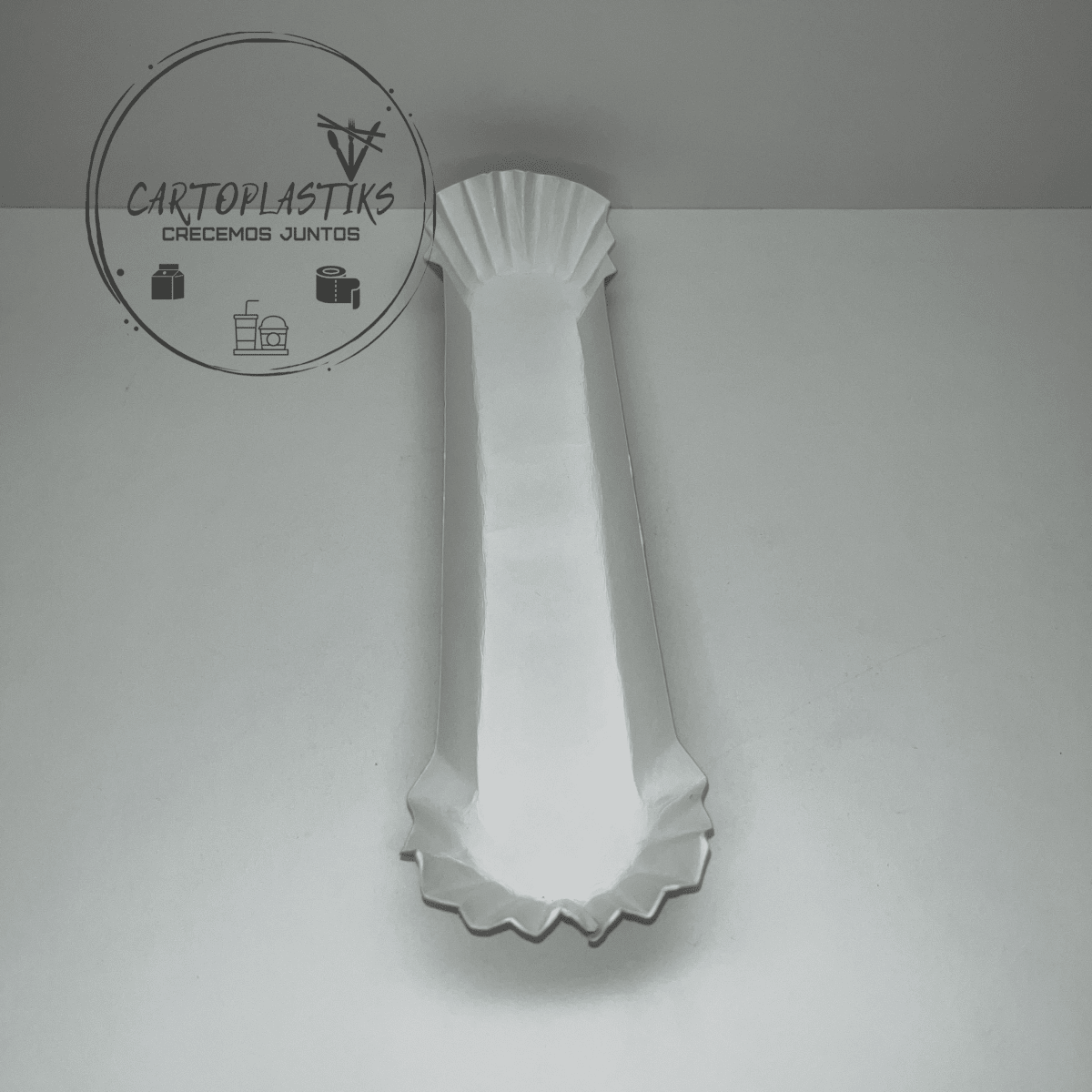 CANOA GRANDE PARA COMPLETO2