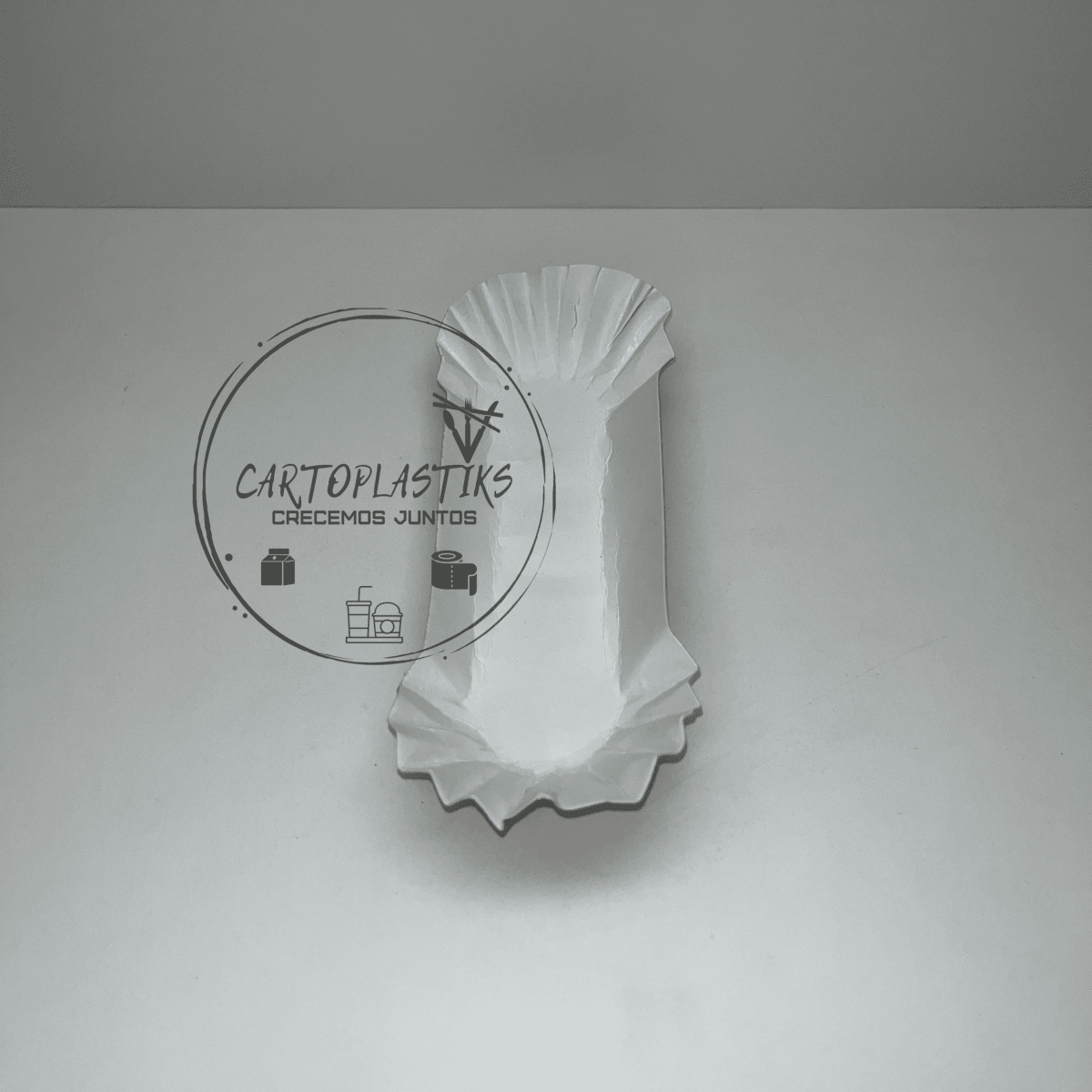 CANOA NORMAL PARA COMPLETO2