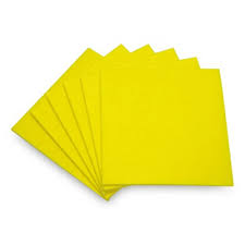 PAÑO AMARILLO MULTIUSO1