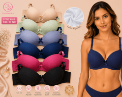 BRASIER LISO NV