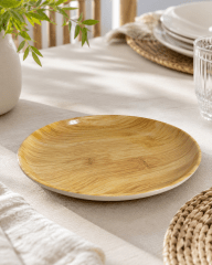 PLATO TENDIDO 2 MELAMINA